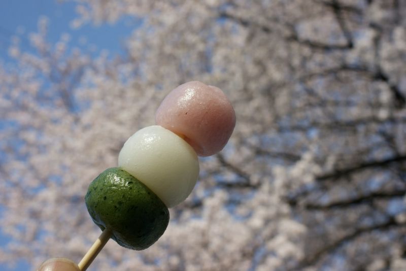 cách ngắm hoa hanami như người nhật bản